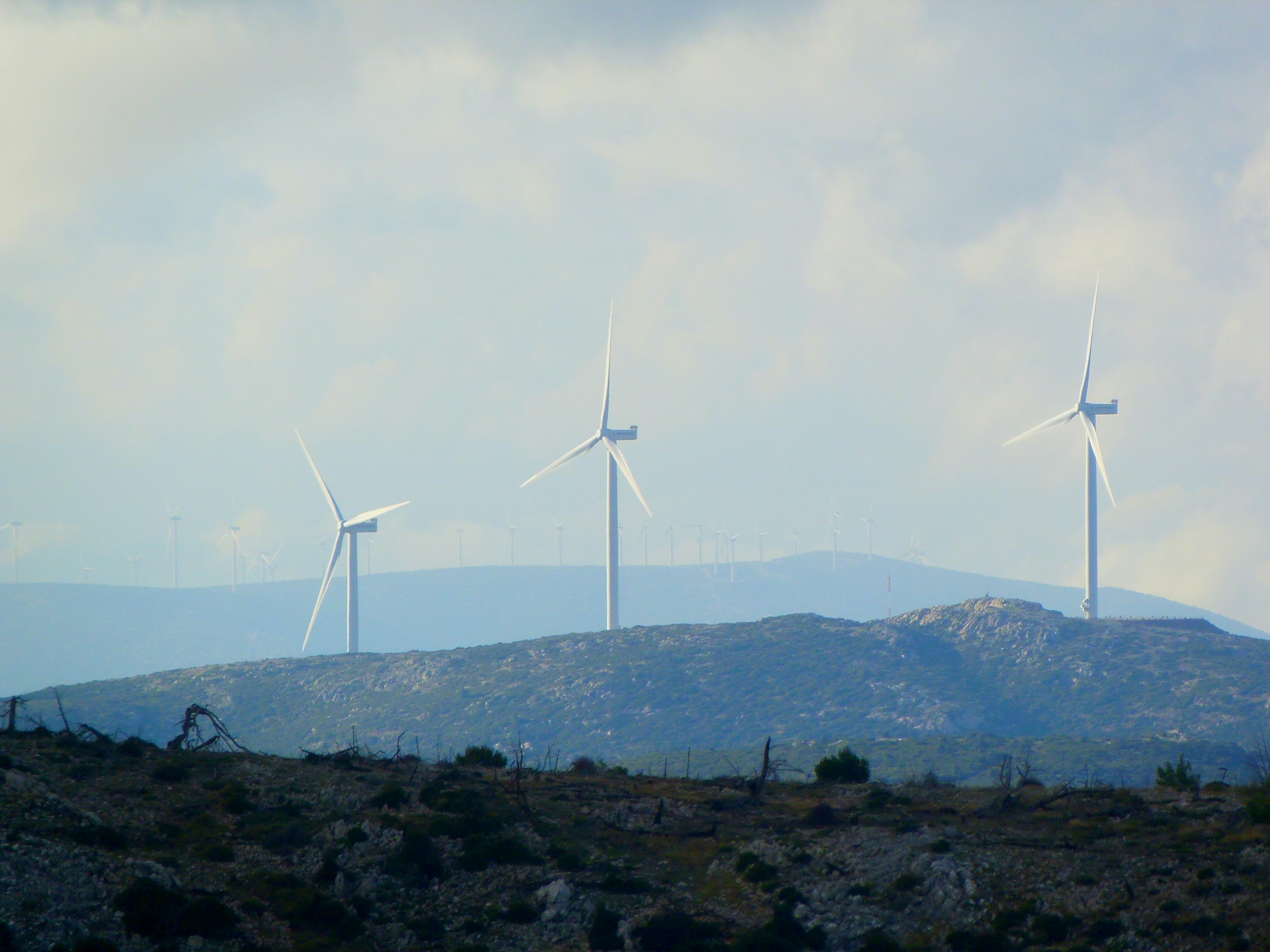 Save the Green Deal